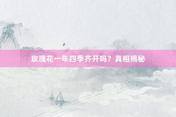 玫瑰花一年四季齐开吗？真相揭秘
